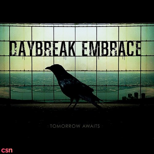 Daybreak Embrace