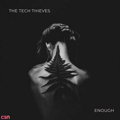 The Tech Thieves