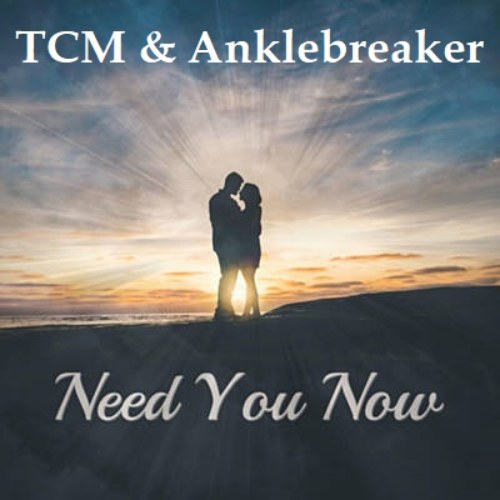 Anklebreaker