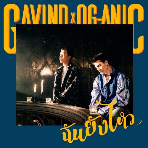 Gavin D