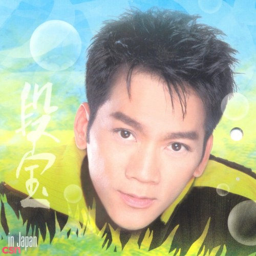 Don Hồ