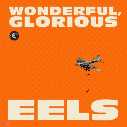 Eels
