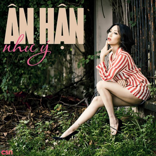 Nhu Y