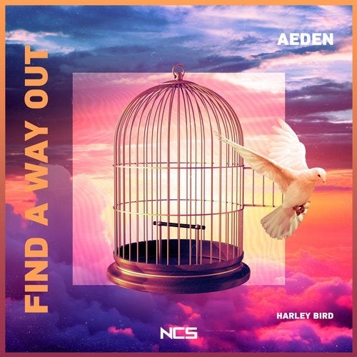 Aeden