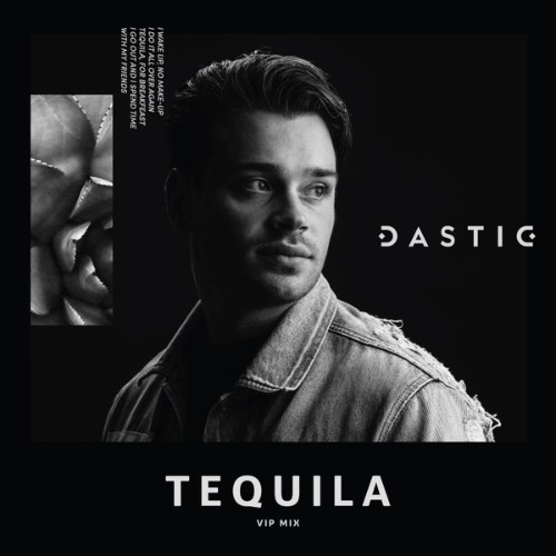 Dastic