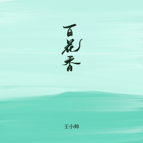 Vương Tiểu Soái