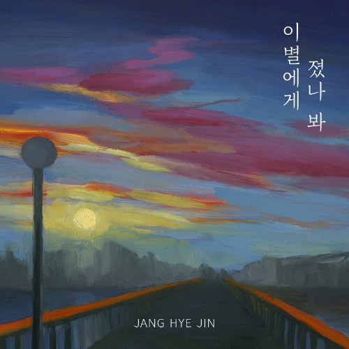 Jang Hye Jin