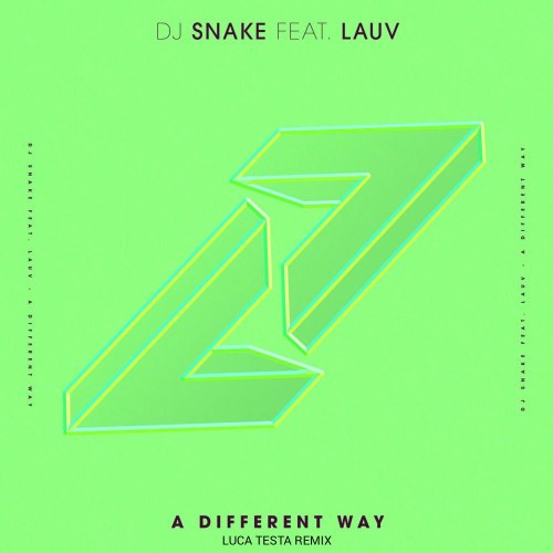 DJ Snake
