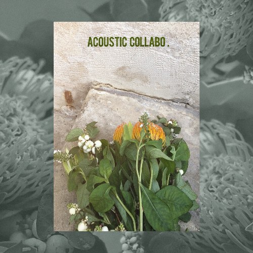 Acoustic Collabo