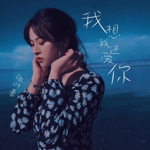 Trương Diệp Lôi