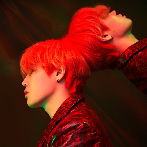 Ha Sung Woon
