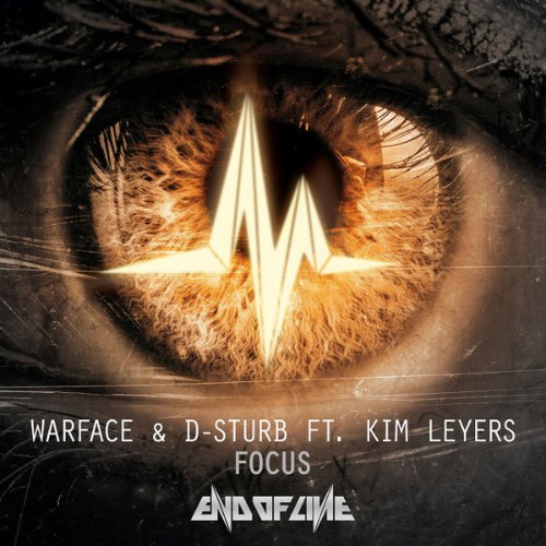 D-Sturb