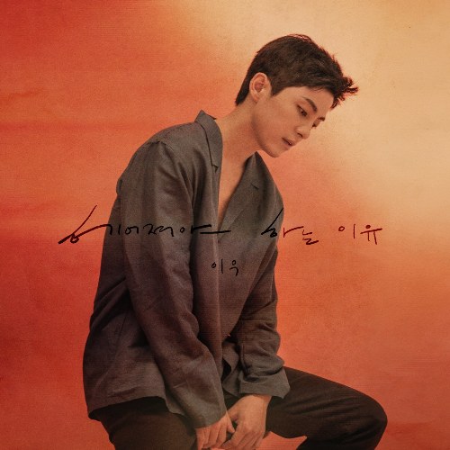 Leewoo