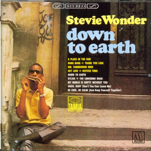 Stevie Wonder