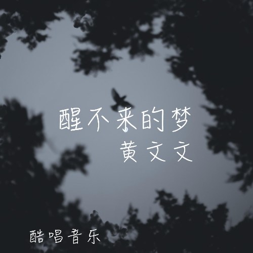 Hoàng Văn Văn