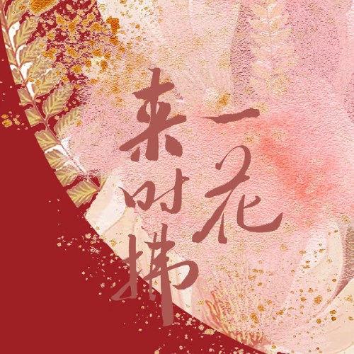 KOKI A Kha