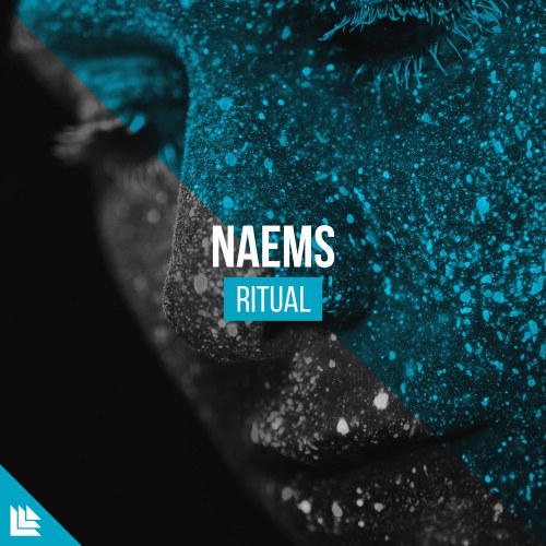 NAEMS