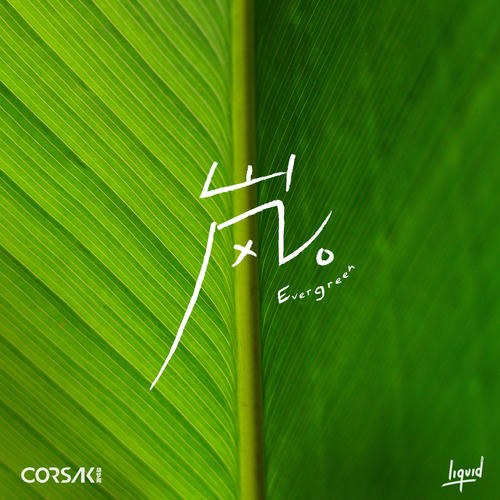 Corsak