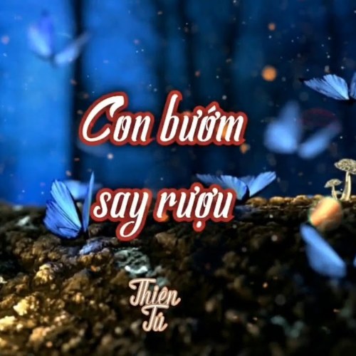 Thiên Tú