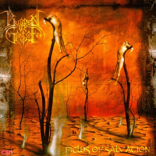 Burden Of Grief