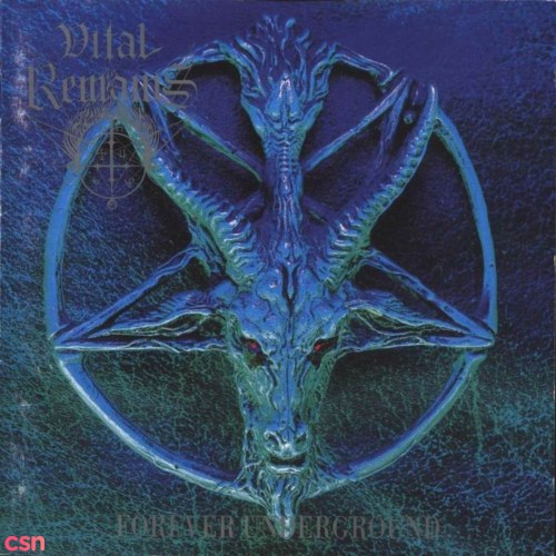 Vital Remains
