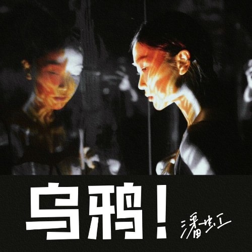 Phan Hồng