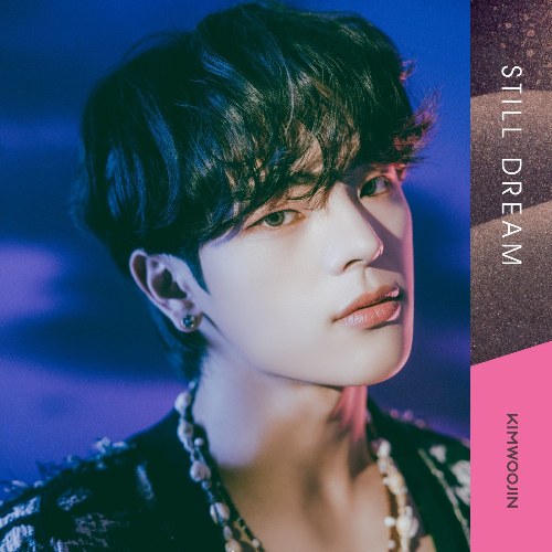 Kim Woojin