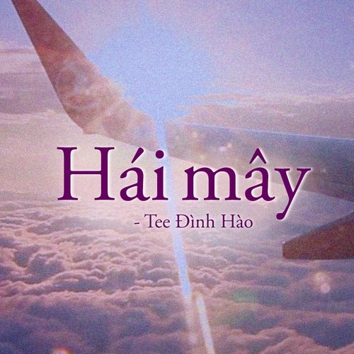 Tee Đình Hào