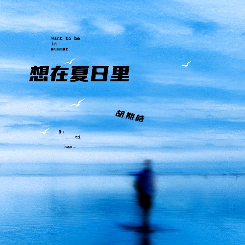 Hồ Kỳ Hạo