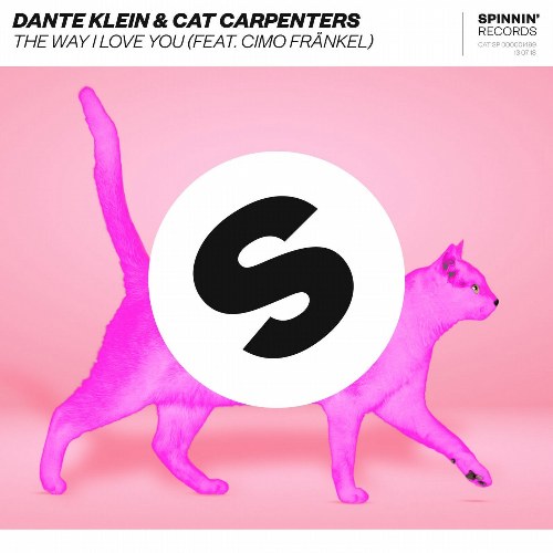 Cat Carpenters