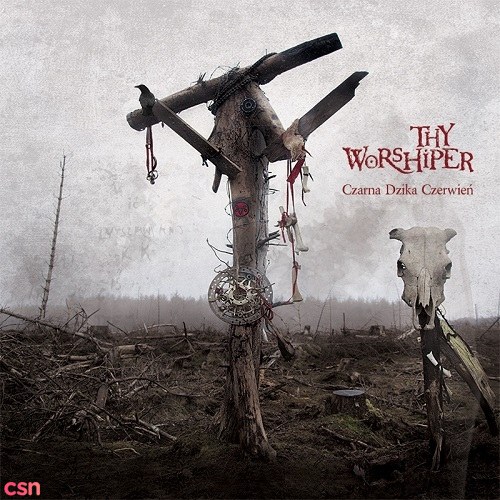Thy Worshiper