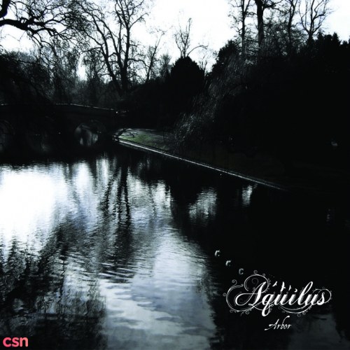 Aquilus