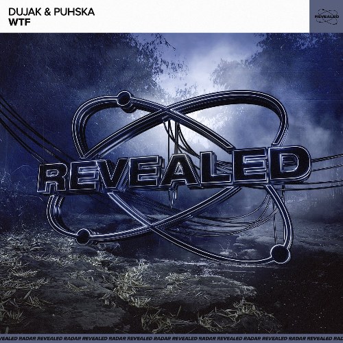 Dujak