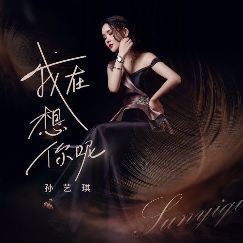 Tôn Nghệ Kỳ