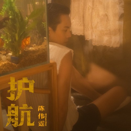 Trần Vĩ Đình