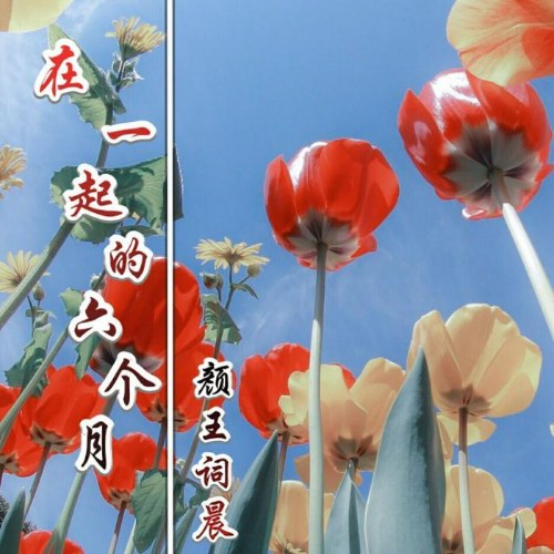 Hách Kỳ Lực