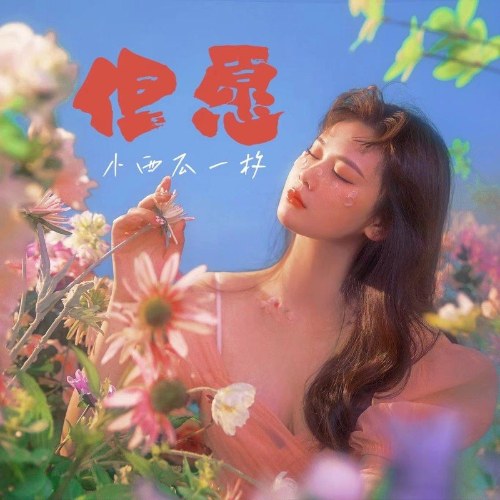 Tiểu Tây Qua Nhất Mai
