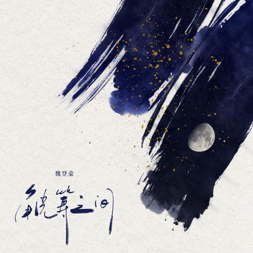 Nguỵ Đăng Hào