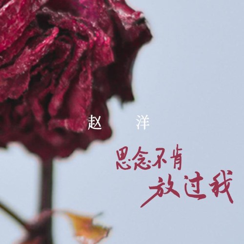 Triệu Dương