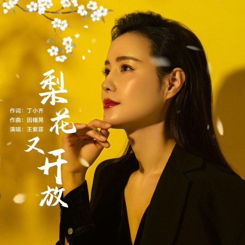 Vương Tử Phi