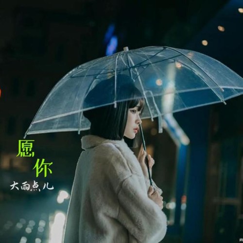 Đại Vũ Điểm Nhi