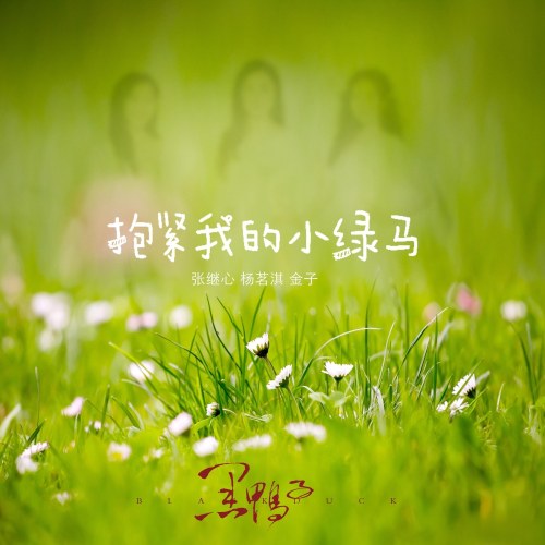 Hắc Áp Tử Tổ Hợp