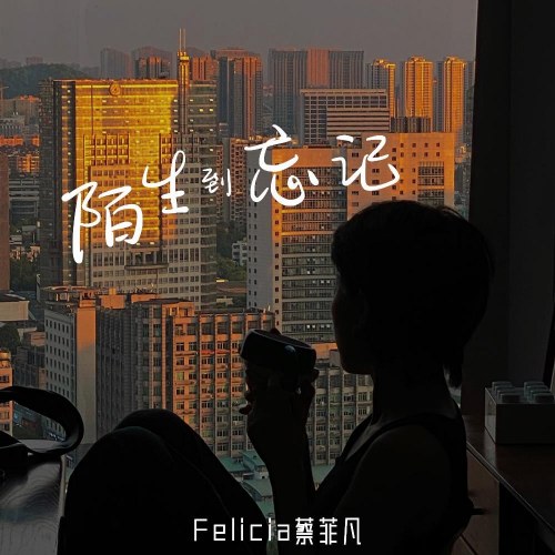Thái Phi Phàm (Felicia)