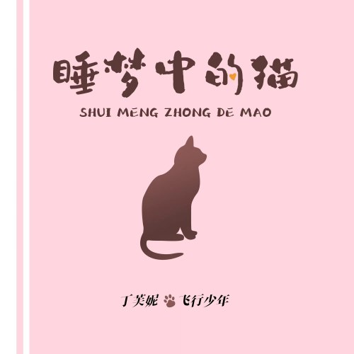 Phi Hành Thiếu Niên