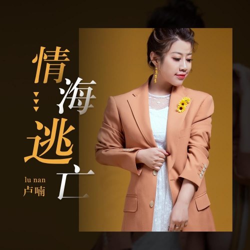 Lư Nam