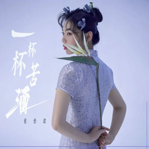 Trương Di Nặc