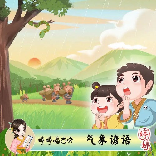 Đình Đình Tỷ Tỷ