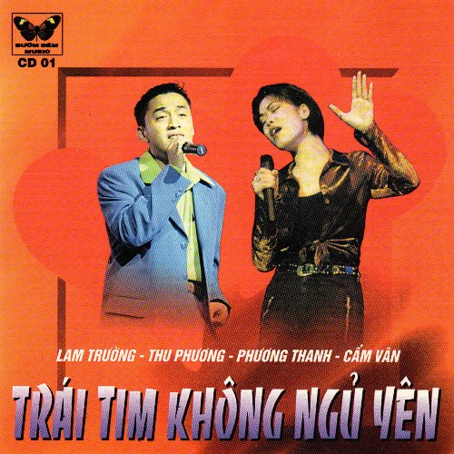Cẩm Vân