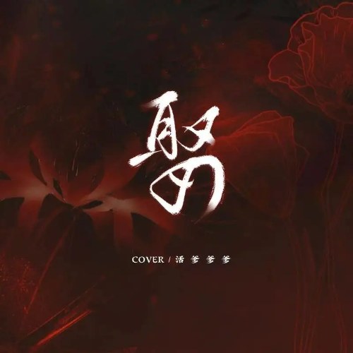 Hoạt Đa Đa Đa