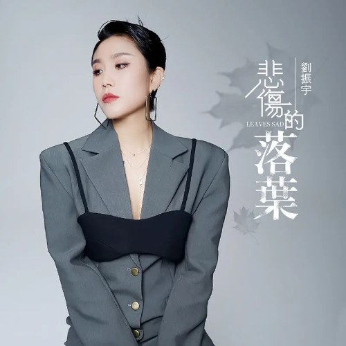Lưu Chấn Vũ